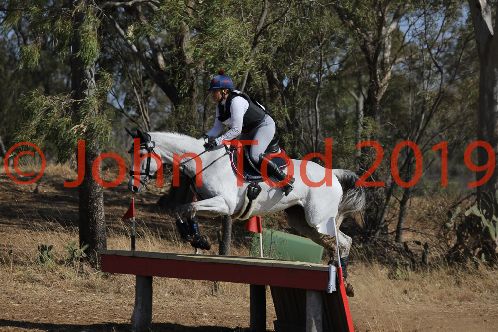 JHT_0558.JPG   08:14:33  06/10/2019  Copyright John H Tod 2019