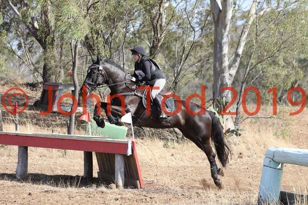 JHT_0562.JPG   08:16:04  06/10/2019  Copyright John H Tod 2019