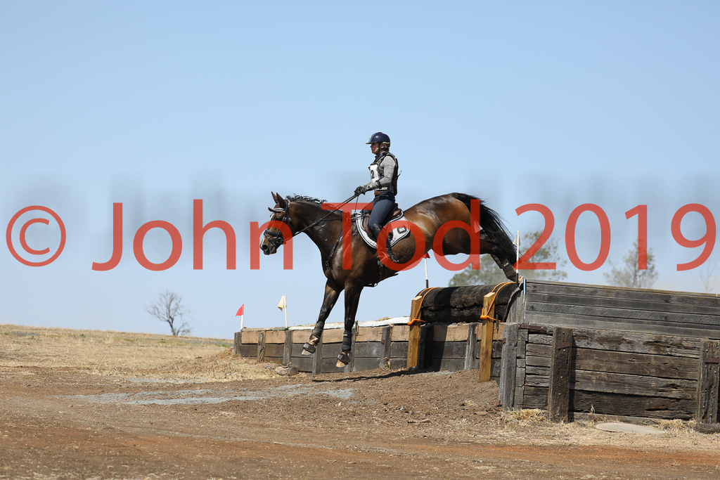 JHT_0636.JPG   09:53:08  06/10/2019  Copyright John H Tod 2019