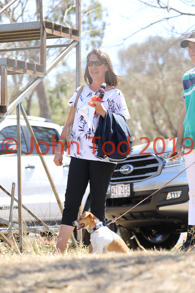 JHT_0168.JPG   11:23:20  05/10/2019  Copyright John H Tod 2019