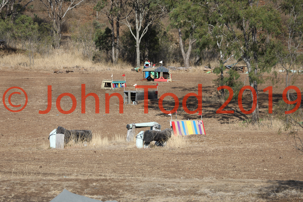 JHT_0546.JPG   07:28:16  06/10/2019  Copyright John H Tod 2019