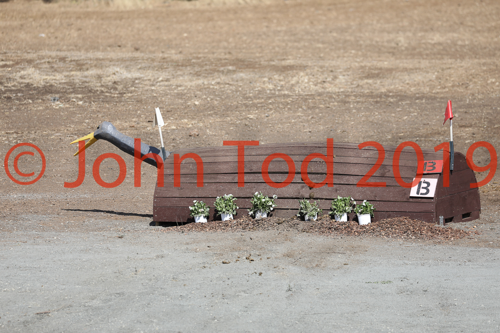 JHT_0594.JPG   08:51:20  06/10/2019  Copyright John H Tod 2019