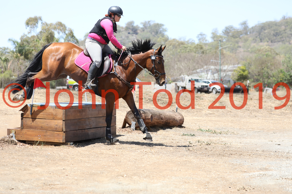 JHT_0829.JPG   11:31:58  06/10/2019  Copyright John H Tod 2019