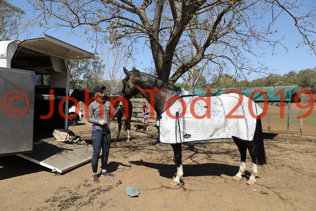 JHT_0894.JPG   13:36:31  06/10/2019  Copyright John H Tod 2019