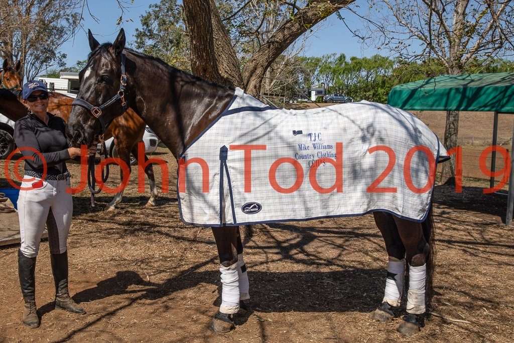 JHT_0930E.jpg   13:43:39  06/10/2019  Copyright John H Tod 2019