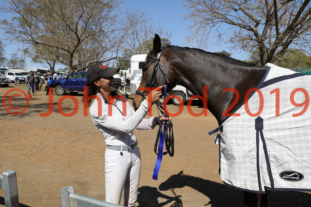 JHT_0982.JPG   13:50:14  06/10/2019  Copyright John H Tod 2019