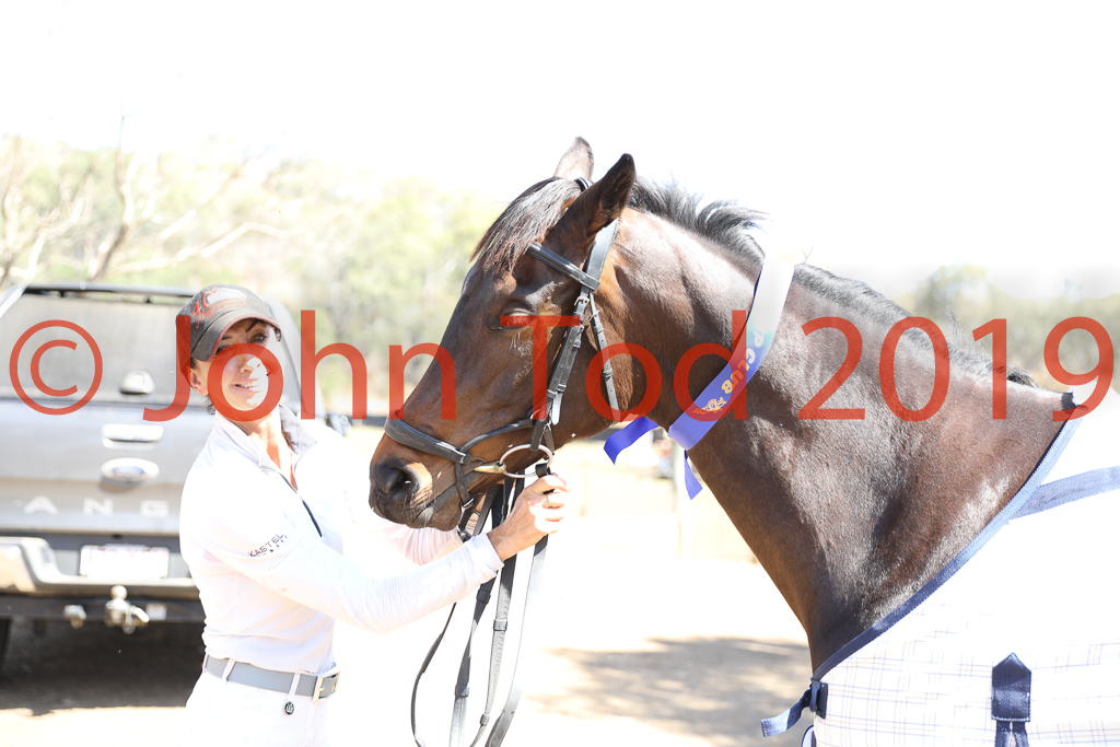 JHT_0986.JPG   13:50:56  06/10/2019  Copyright John H Tod 2019